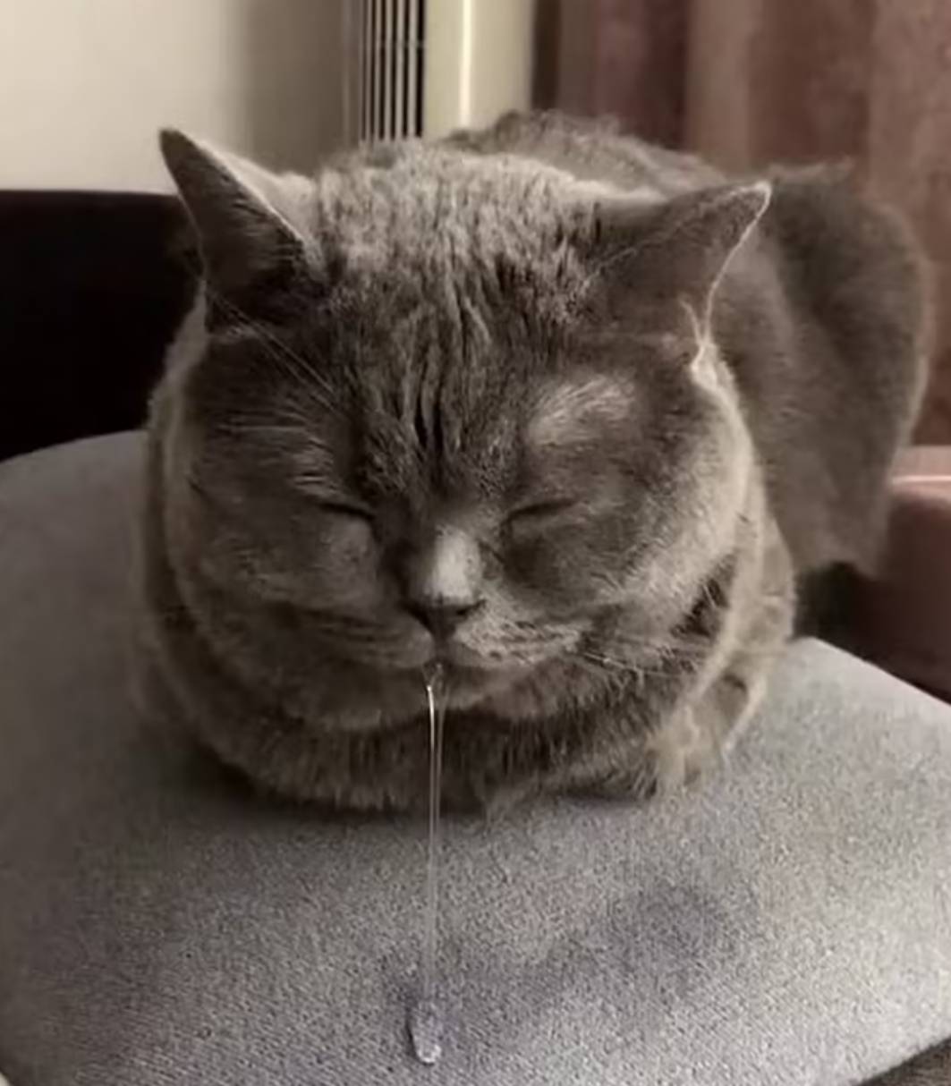 湖北谁还少人，我补上~

47 / 作者:猴子打野一哥 / 