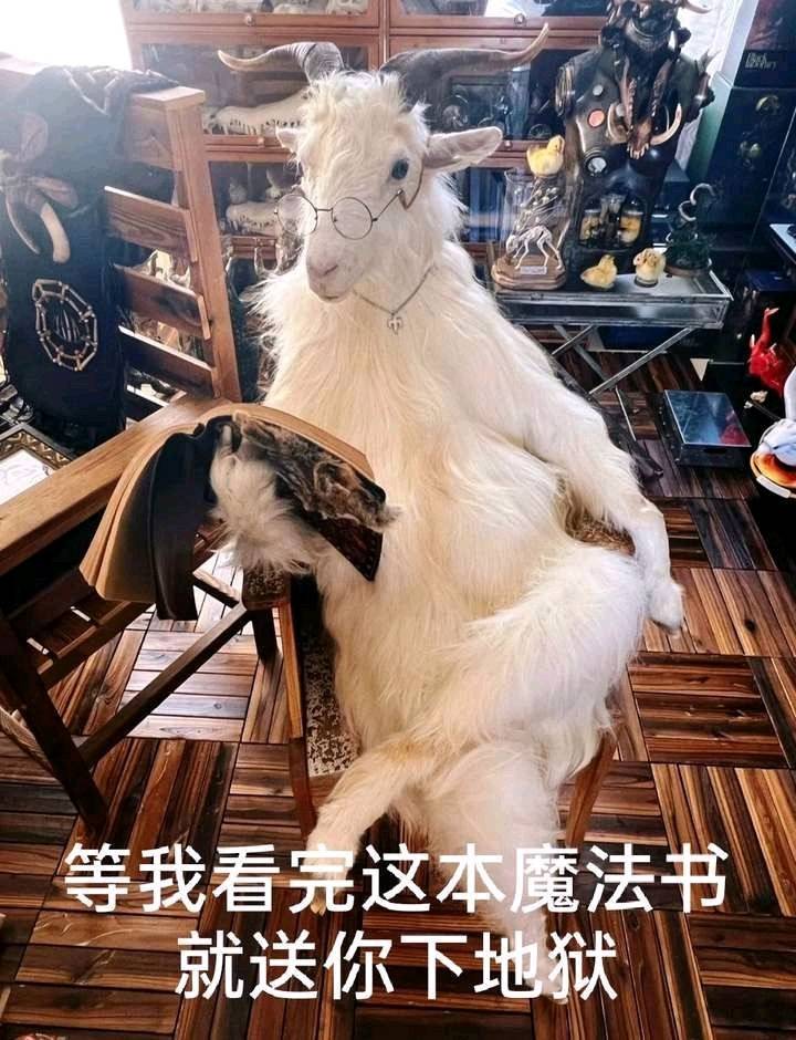 几把毛都没有，人间绝望
2 / 作者:天空掉个林老鼠 / 