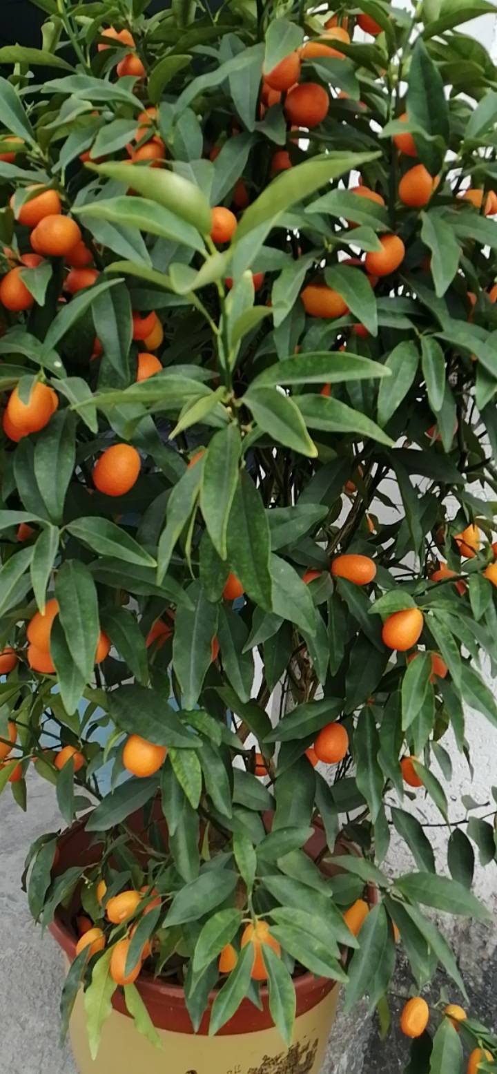 老哥吃吗

12 / 作者:专业吃席 / 