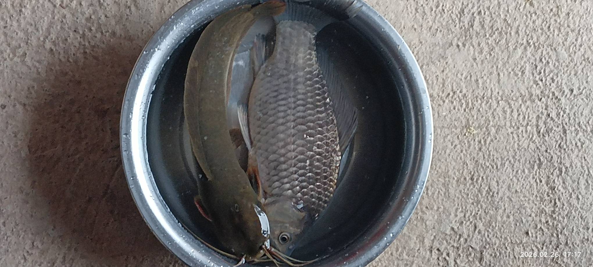 德州农行实体二类能玩吗

47 / 作者:永恒yi / 