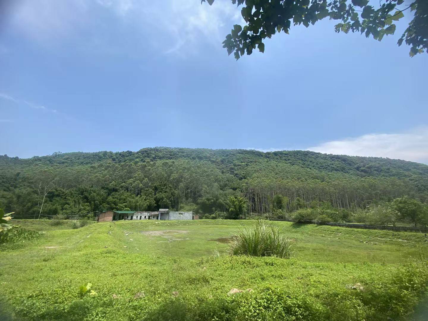 30岁开始挂壁已经8年了，现在38还没娶老婆。在东莞租了300挂壁房，每天吃了睡，睡了吃12 / 作者:大雕哥哥 / 