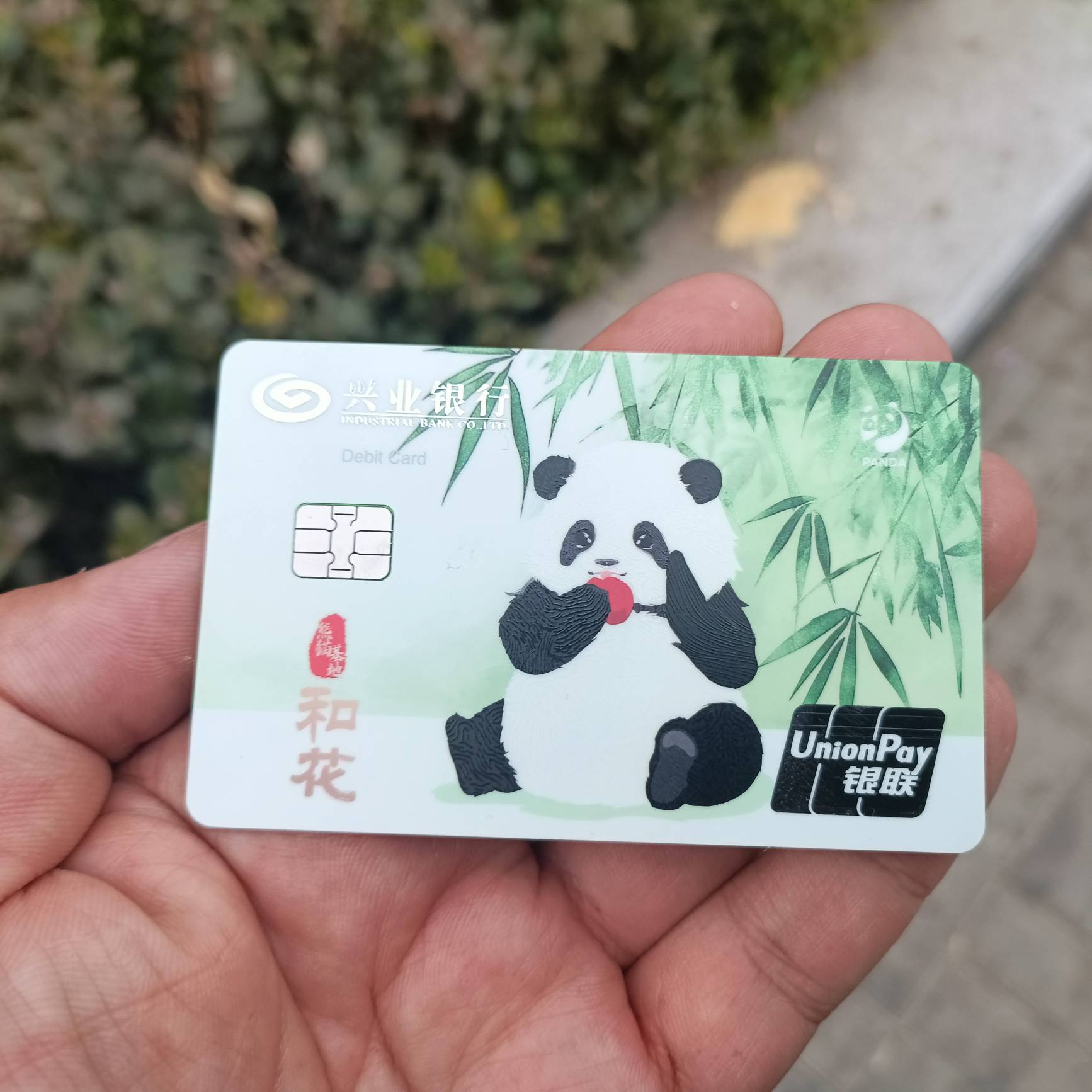 天太冷  挂b保安不想去干了  闲着没事开了个野鸡银行一类  确实丝滑

25 / 作者:没昵称赶紧 / 