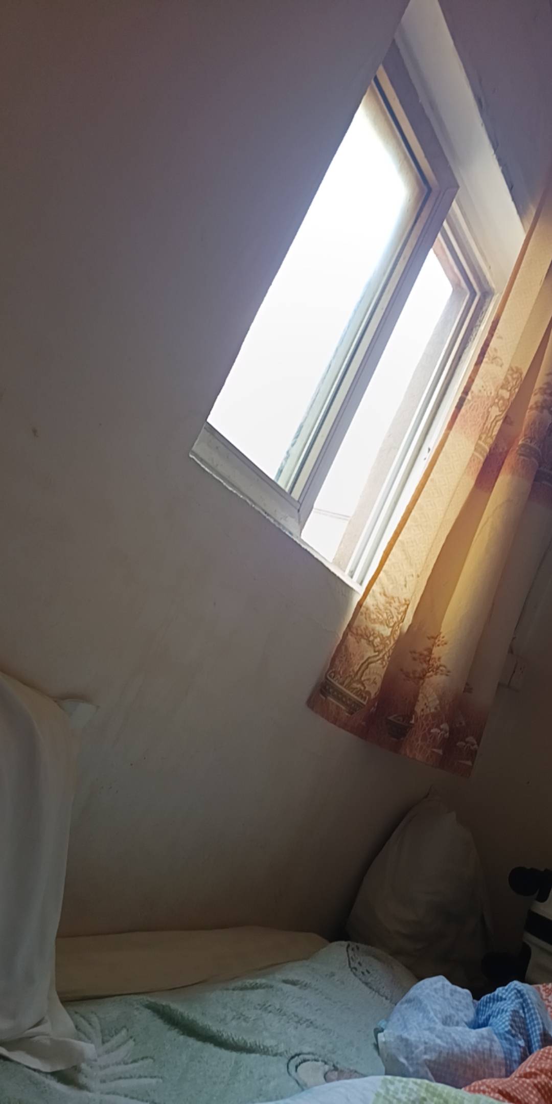 奈奈的进厂系统一样进不去，和我20号干了一个小时跑路的厂是同一个系统，白跑一上午60 / 作者:小爪哇 / 