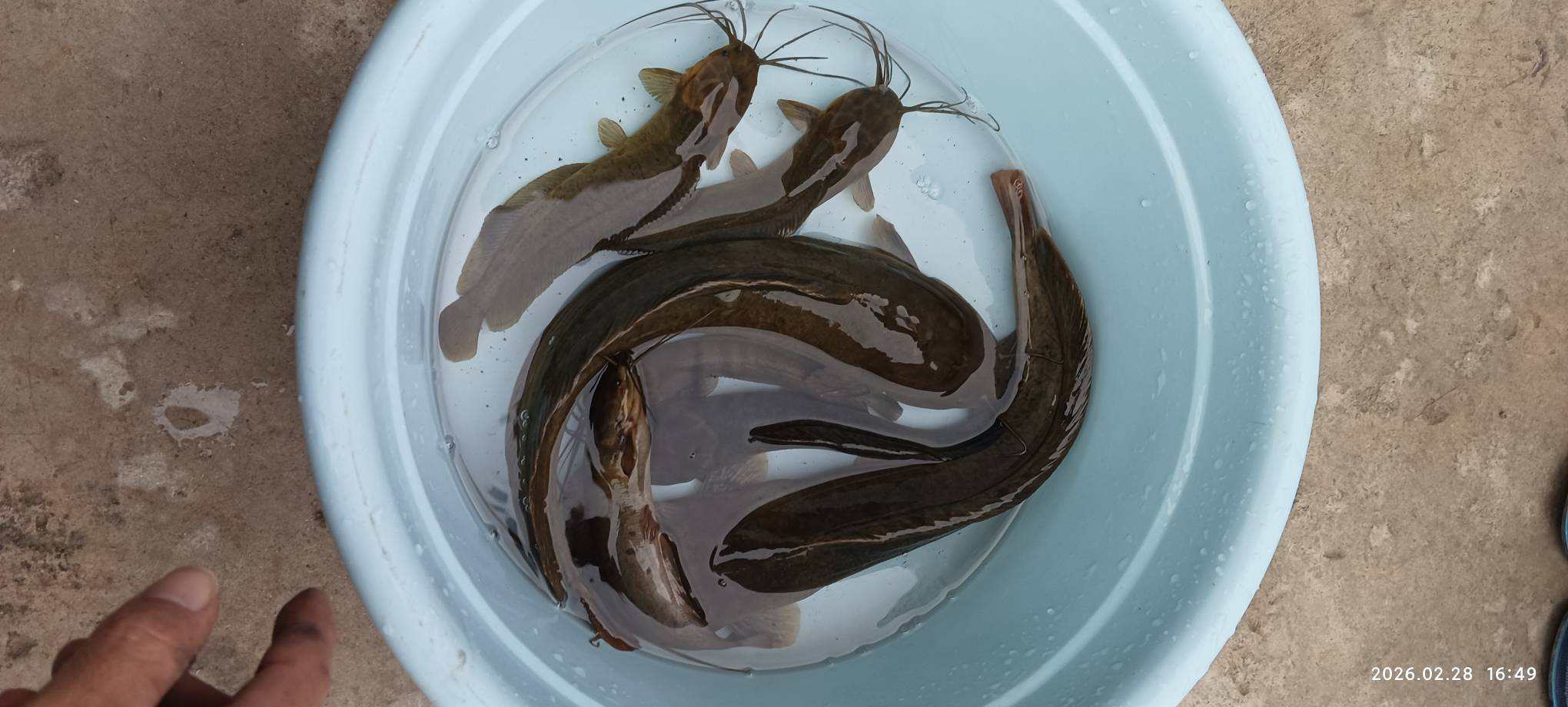 黄豆焖鱼仔


14 / 作者:永恒yi / 