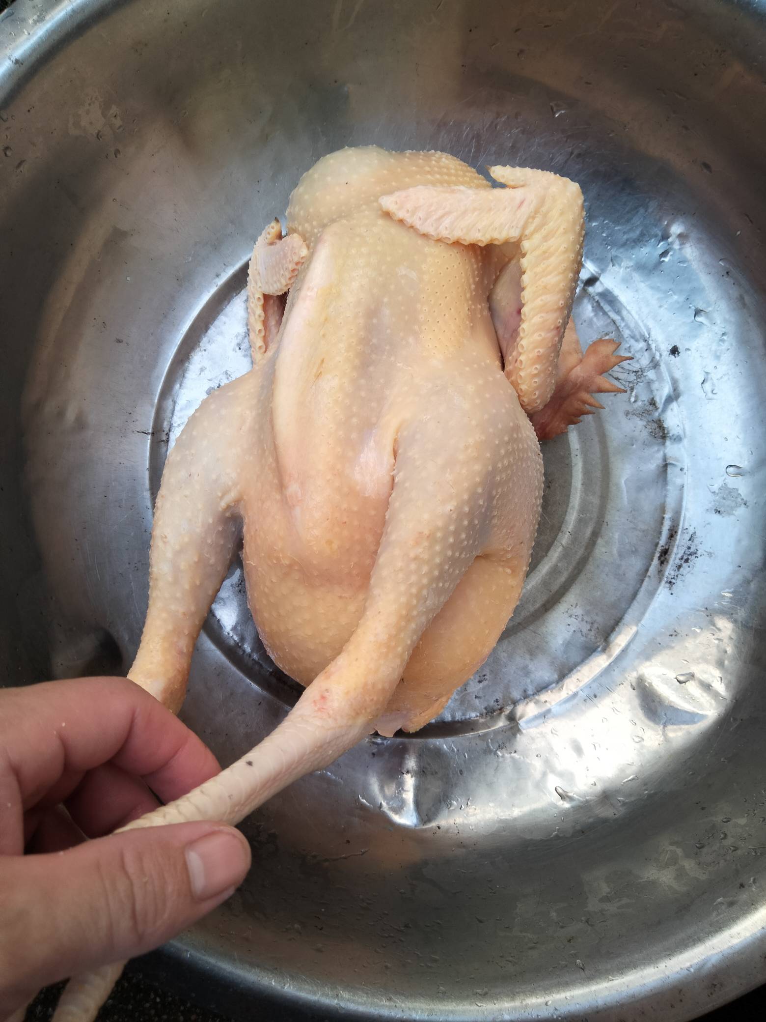 靓鸡，自家散养的，平时只喂稻谷和蔬菜。


61 / 作者:君子之交淡如水 / 