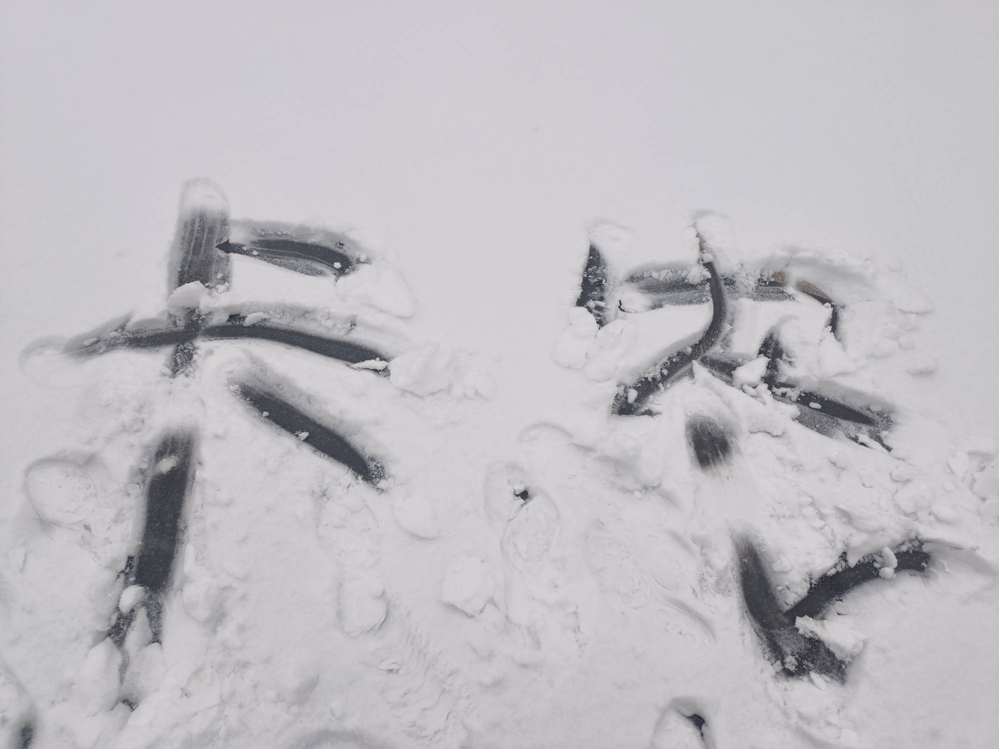 下雪喽



88 / 作者:生蚝熟了 / 