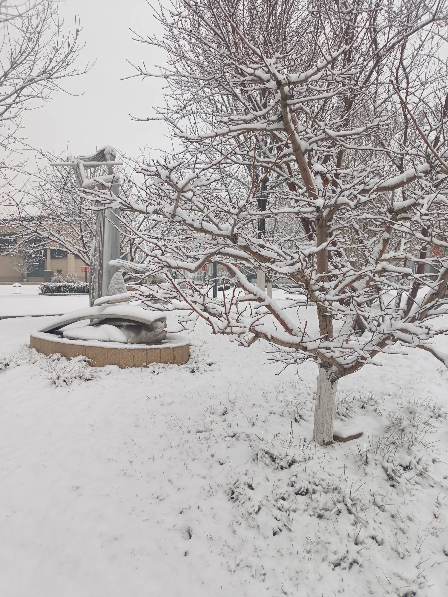 下雪喽



48 / 作者:生蚝熟了 / 