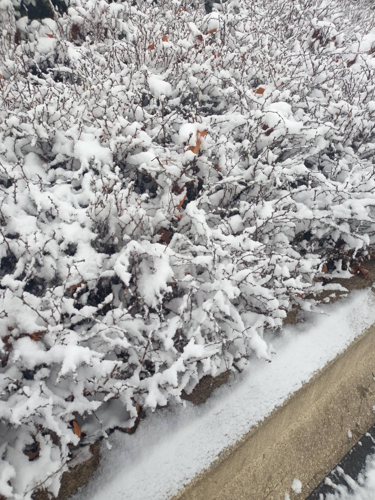 下雪喽



41 / 作者:生蚝熟了 / 