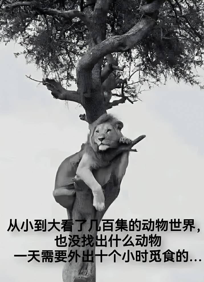 工资还不如十几年前，物价飞涨，就是工资不涨这个局怎么破

76 / 作者:梦回大唐做王爷 / 