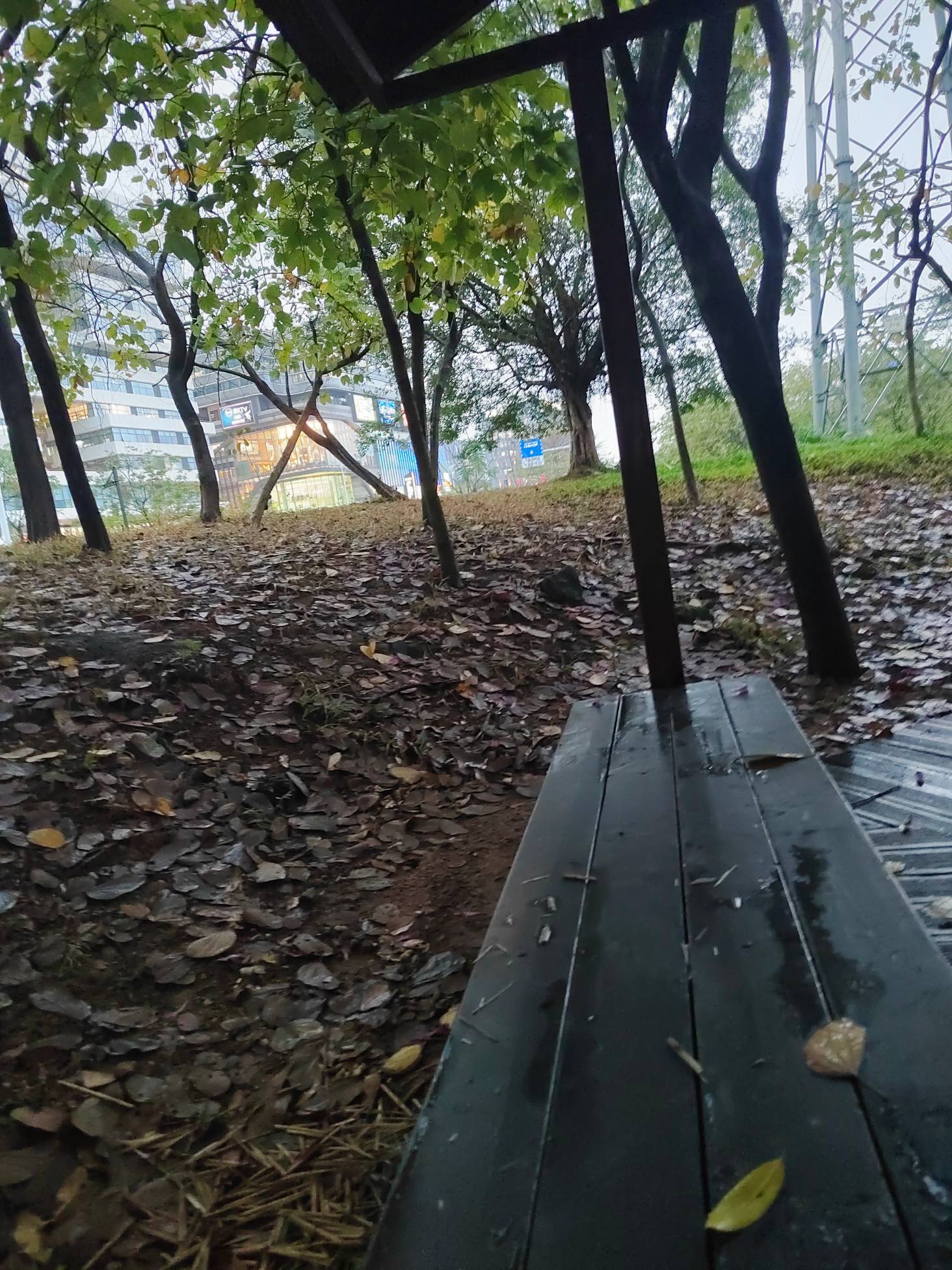 今晚好像只剩下十几度。有点可怕


8 / 作者:林伯不卖菠萝鱼 / 