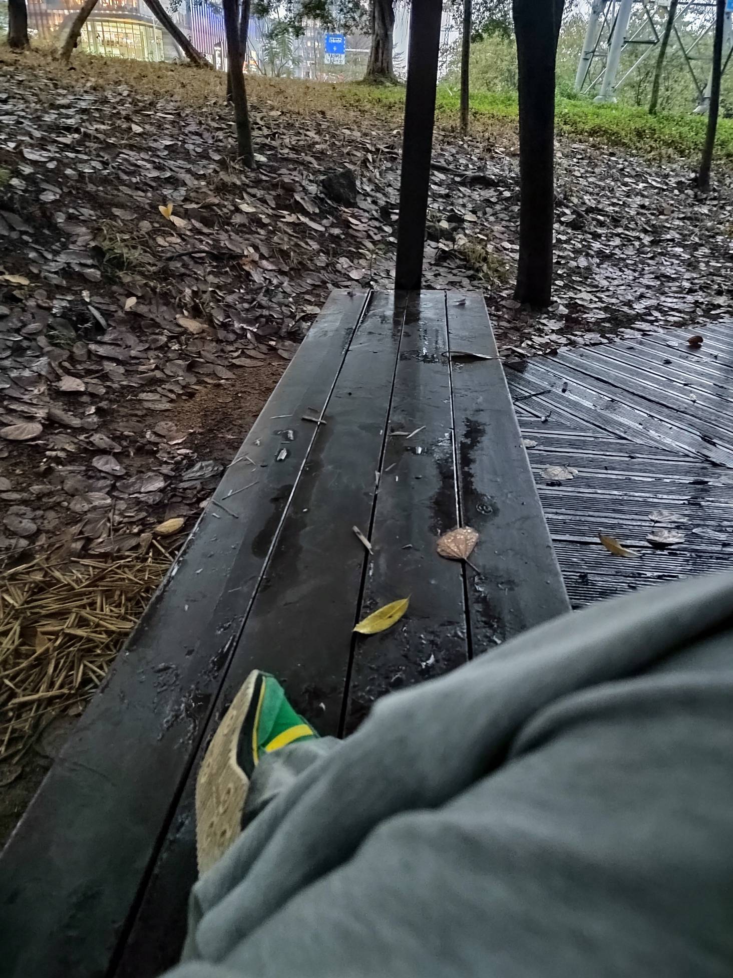 今晚好像只剩下十几度。有点可怕


17 / 作者:林伯不卖菠萝鱼 / 