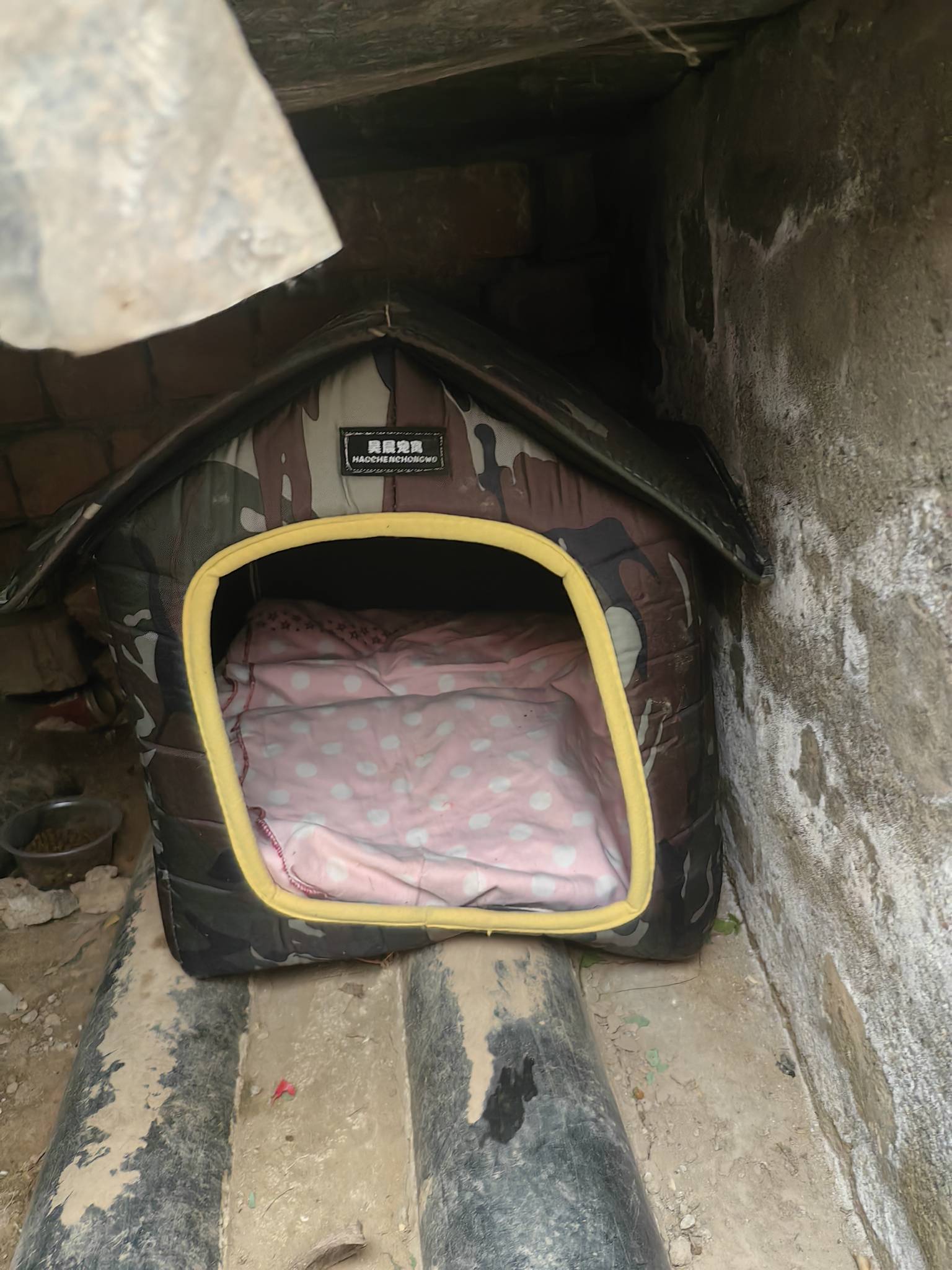 老哥们鱼出租三角洲怎么怎么都是小白号再问，都是一条两条交易记录或者没有的。

44 / 作者:老哥好人有好鲍 / 