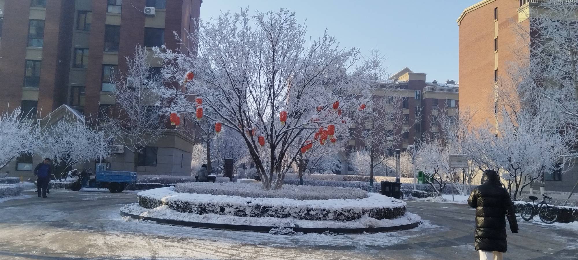 雪后的早晨

22 / 作者:土豆英雄 / 