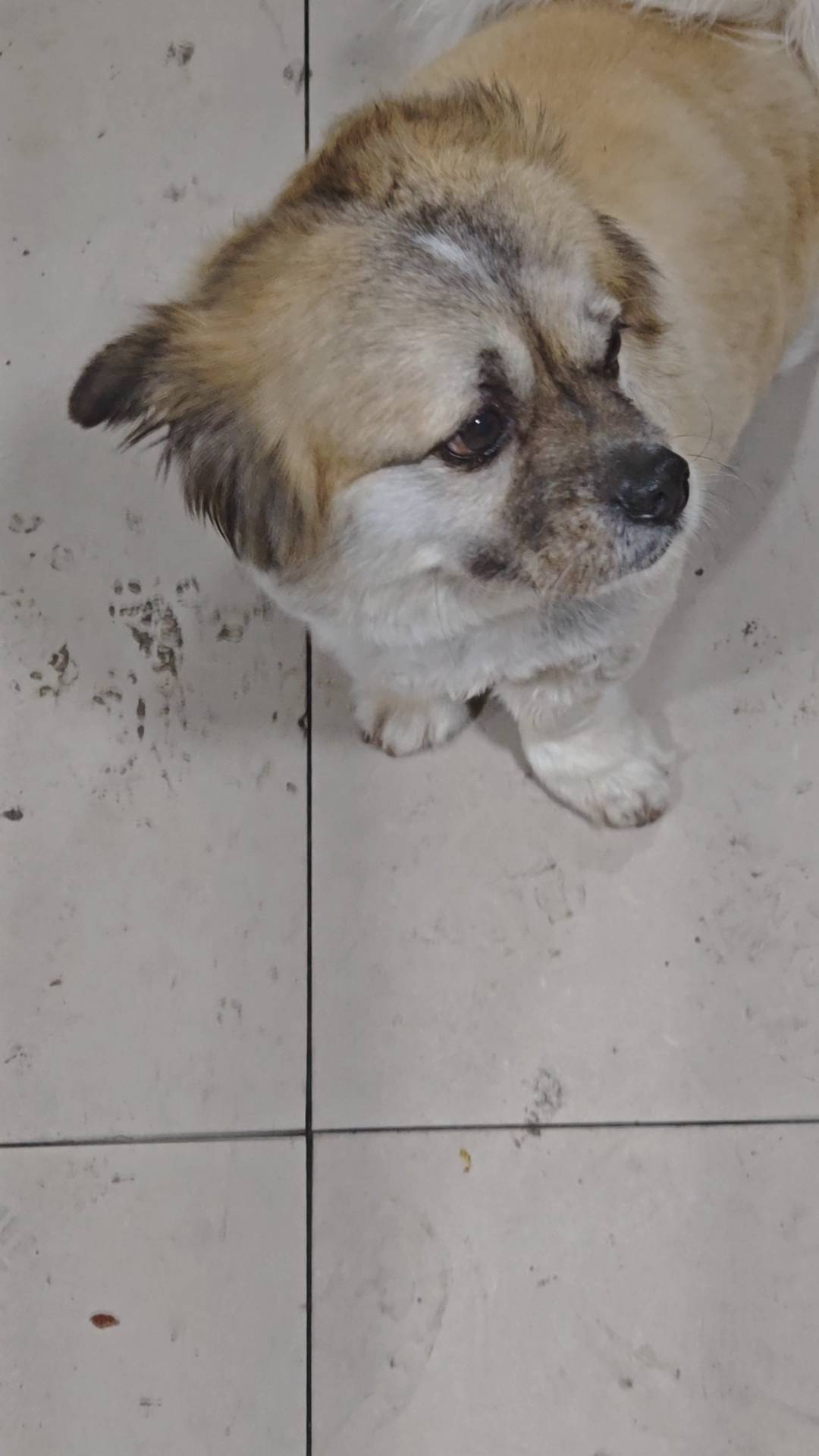 喊一年有效期的怎么不说话？不是要等老哥出完涨价，绝不贱卖嘛

64 / 作者:是露露的露 / 