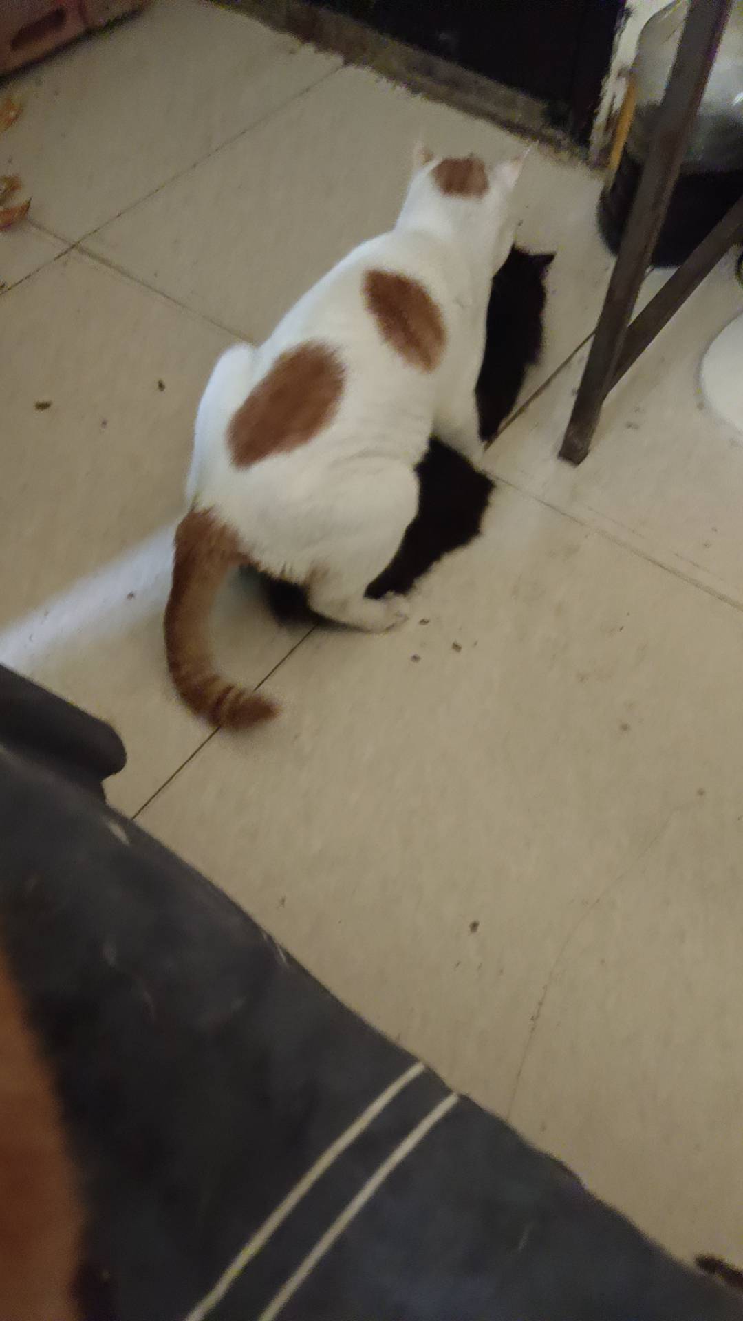 你我贷下款，大数据30几，年龄56，精力10分钟，下款了！！93 / 作者:还没睡我 / 