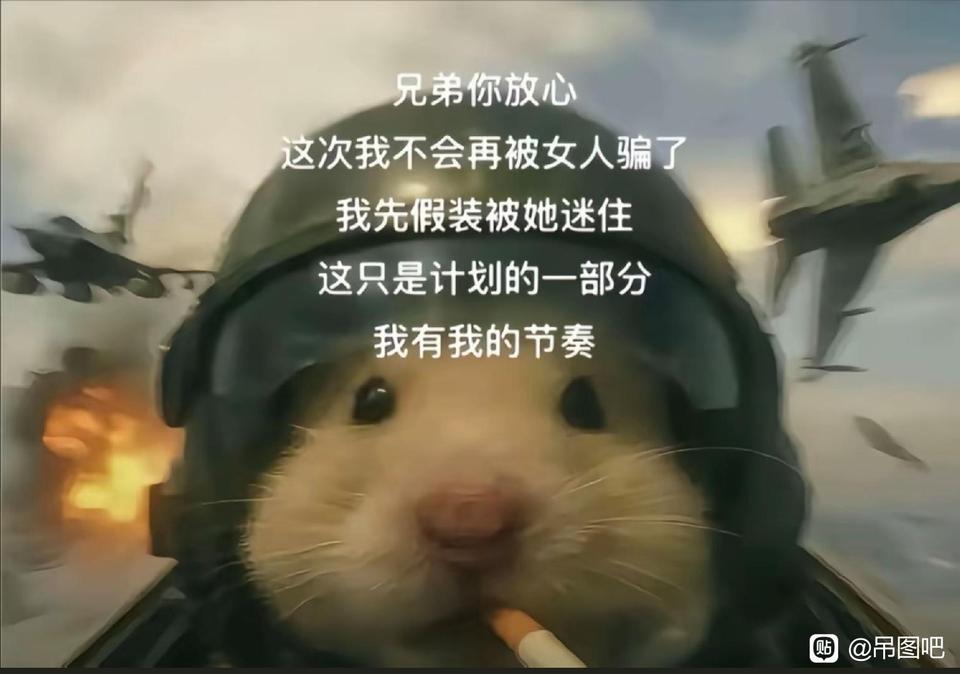 全卡农估计没有比我更惨的了  因为d  几年前前妻离婚带着孩子重新嫁人了 而且又生了个1 / 作者:天大地大@ / 