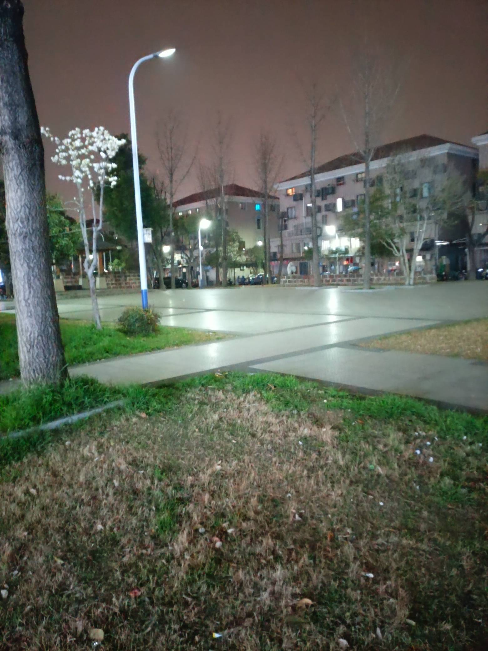 又挂壁10天了，这生活。天天广场蹲

1 / 作者:不走闲鱼就被骗 / 