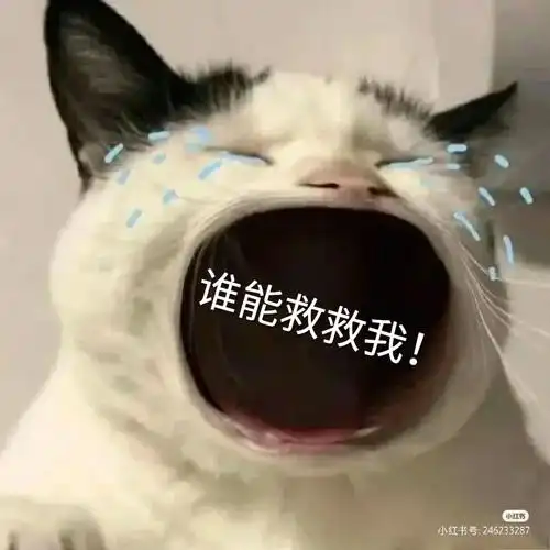 兄弟们，老哥们，家人们出大事了


我挂壁了

45 / 作者:卡农桂林仔 / 