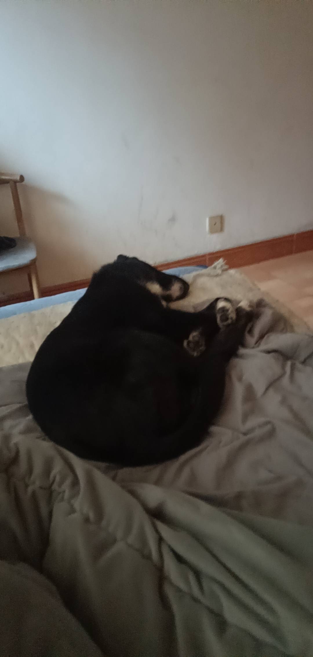 天天躺天天刷抖音，看不到未来


50 / 作者:可以的xx / 