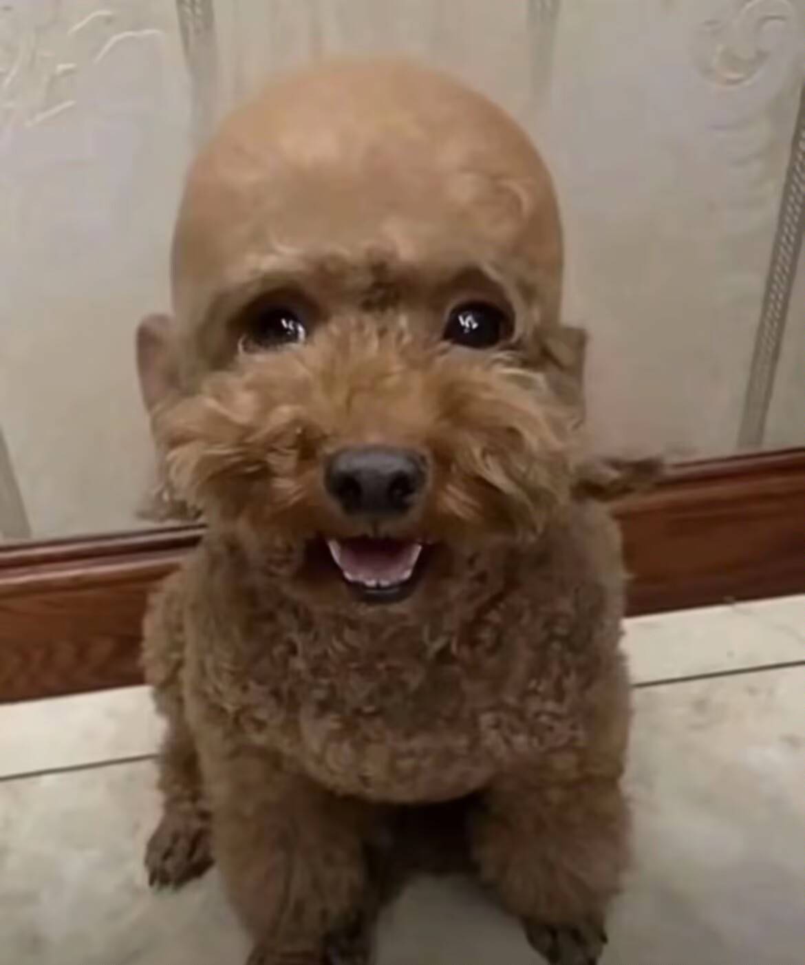 依旧无毛白虎夜

29 / 作者:大雕哥哥 / 