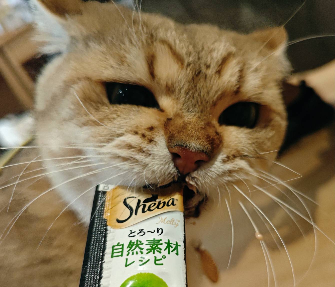 有人还有江苏工会电影50吗？

20 / 作者:滴滴滴加 / 