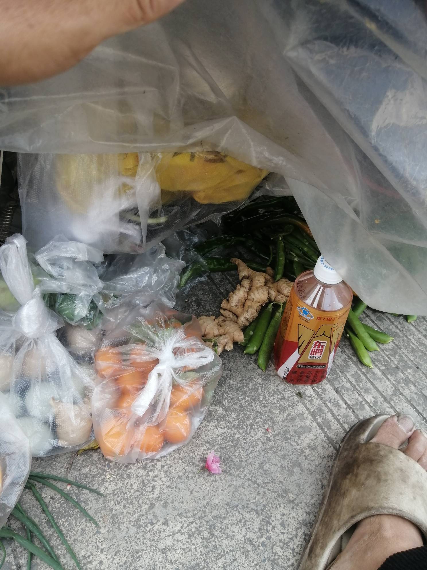 天气变热也难受啊，坐地下躲阴，下午5电才能降温。买点挂壁水果10块钱吃5天，东鹏是别1 / 作者:卡农新来的 / 