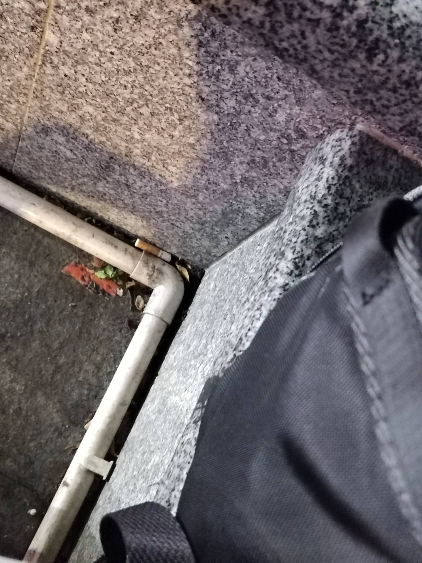 好想捡起来抽。盯着它几分钟了。 这个长度起码三口。


60 / 作者:林伯不卖菠萝鱼 / 