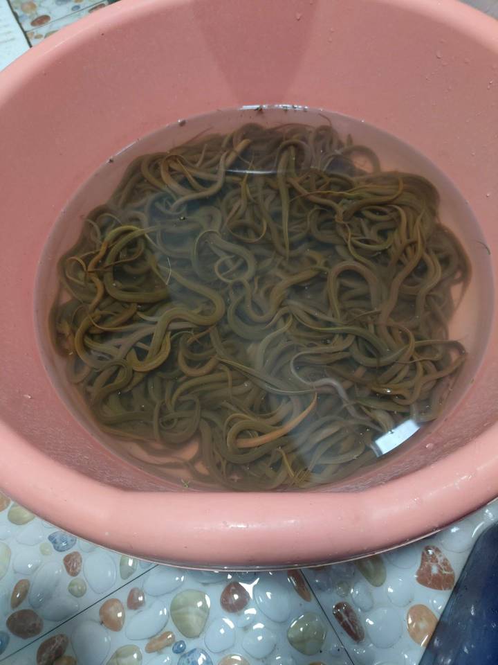 3斤多野生的，300毛到手。

41 / 作者:卡农-老哥 / 