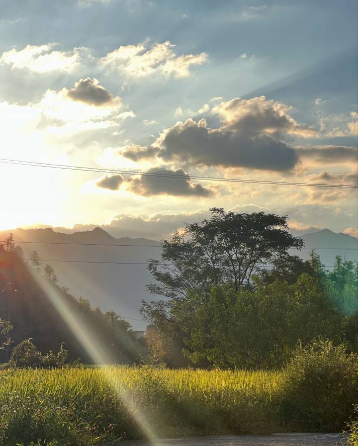 tb浏览怎么刷。
现在刷浏览，新开的店铺，用什么渠道靠谱点。

54 / 作者:狸洛丫 / 