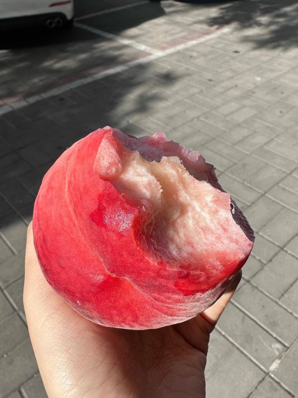 卡

57 / 作者:等风莱山区 / 