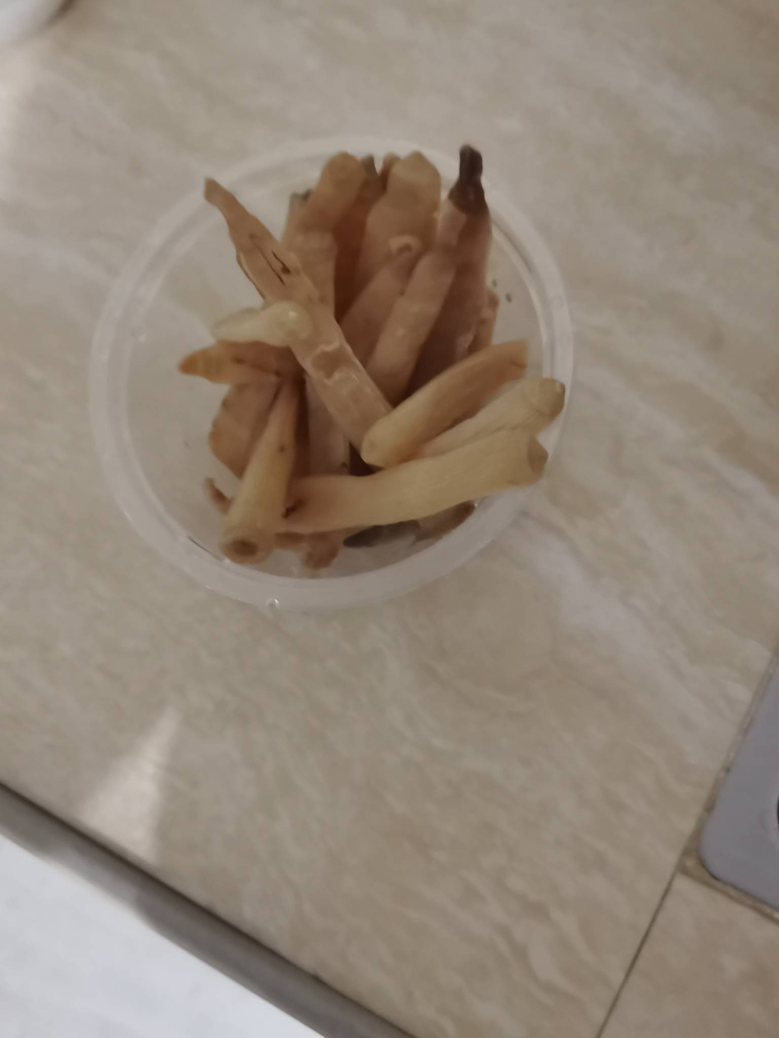 这东西是谁发明的拿来干煎越吃越爽


59 / 作者:夜盼天明 / 