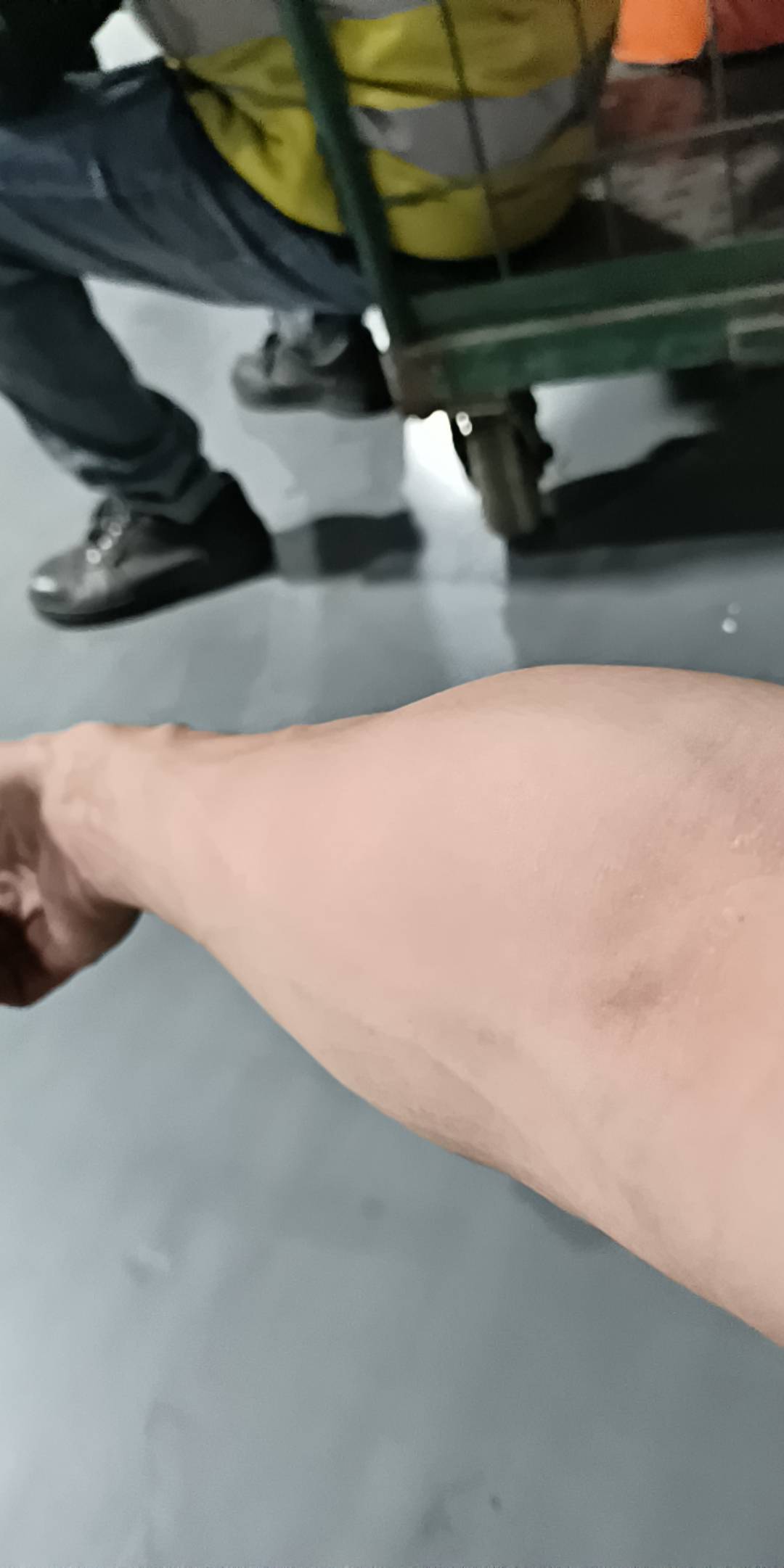 一根毛都没有，你们都不慌？
57 / 作者:大哥让我先跑 / 