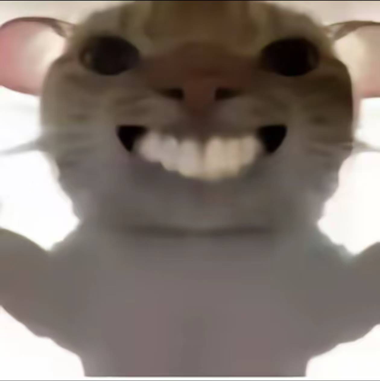 申请上车


40 / 作者:hdm / 