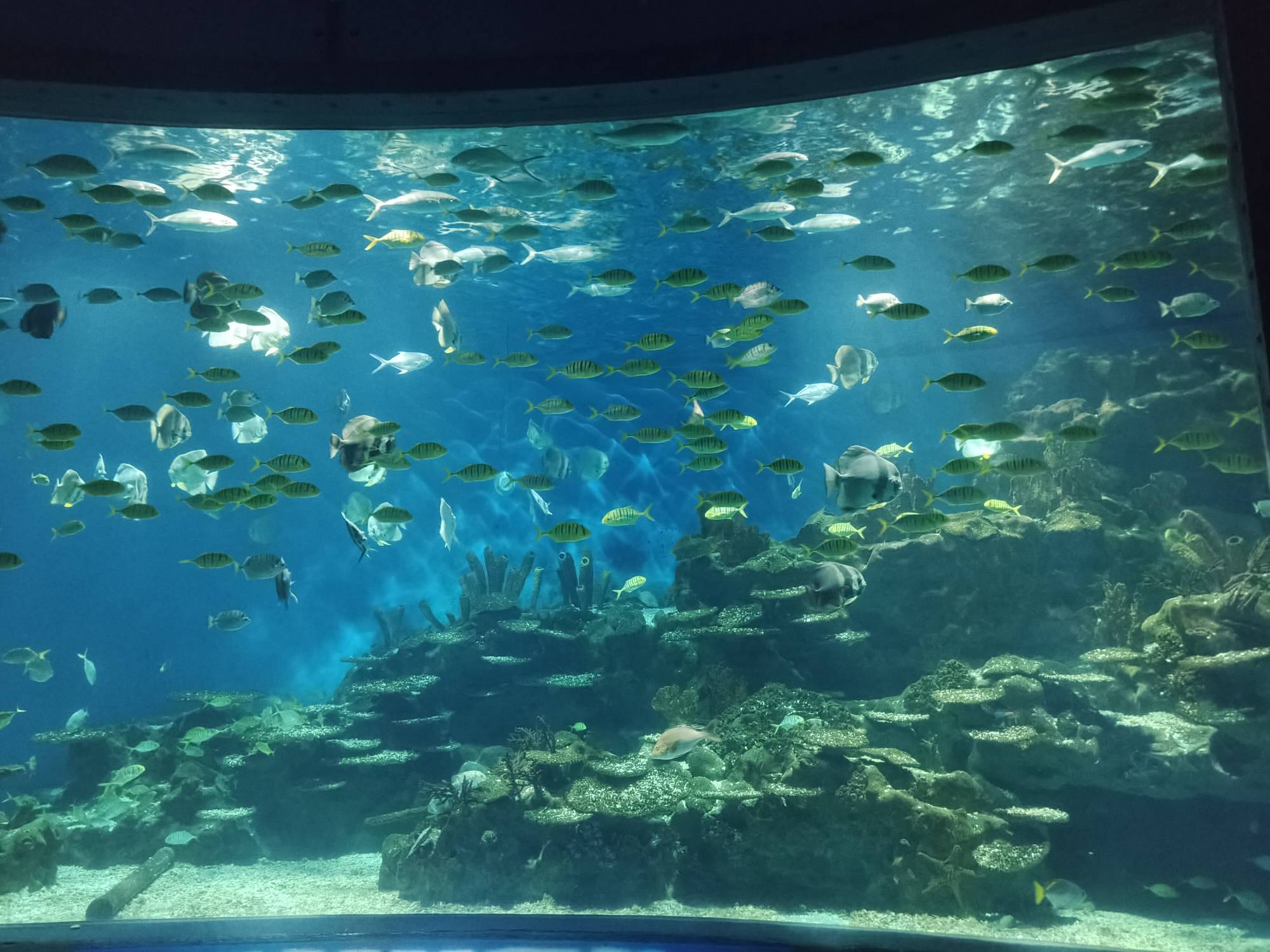 真舒服



8 / 作者:旺旺小仙丶 / 