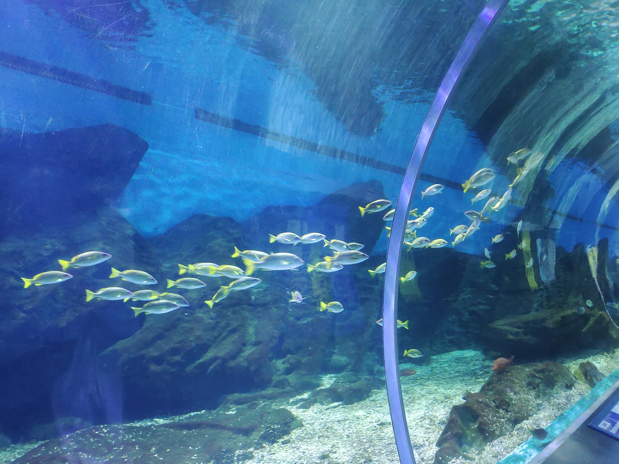 真舒服



84 / 作者:旺旺小仙丶 / 