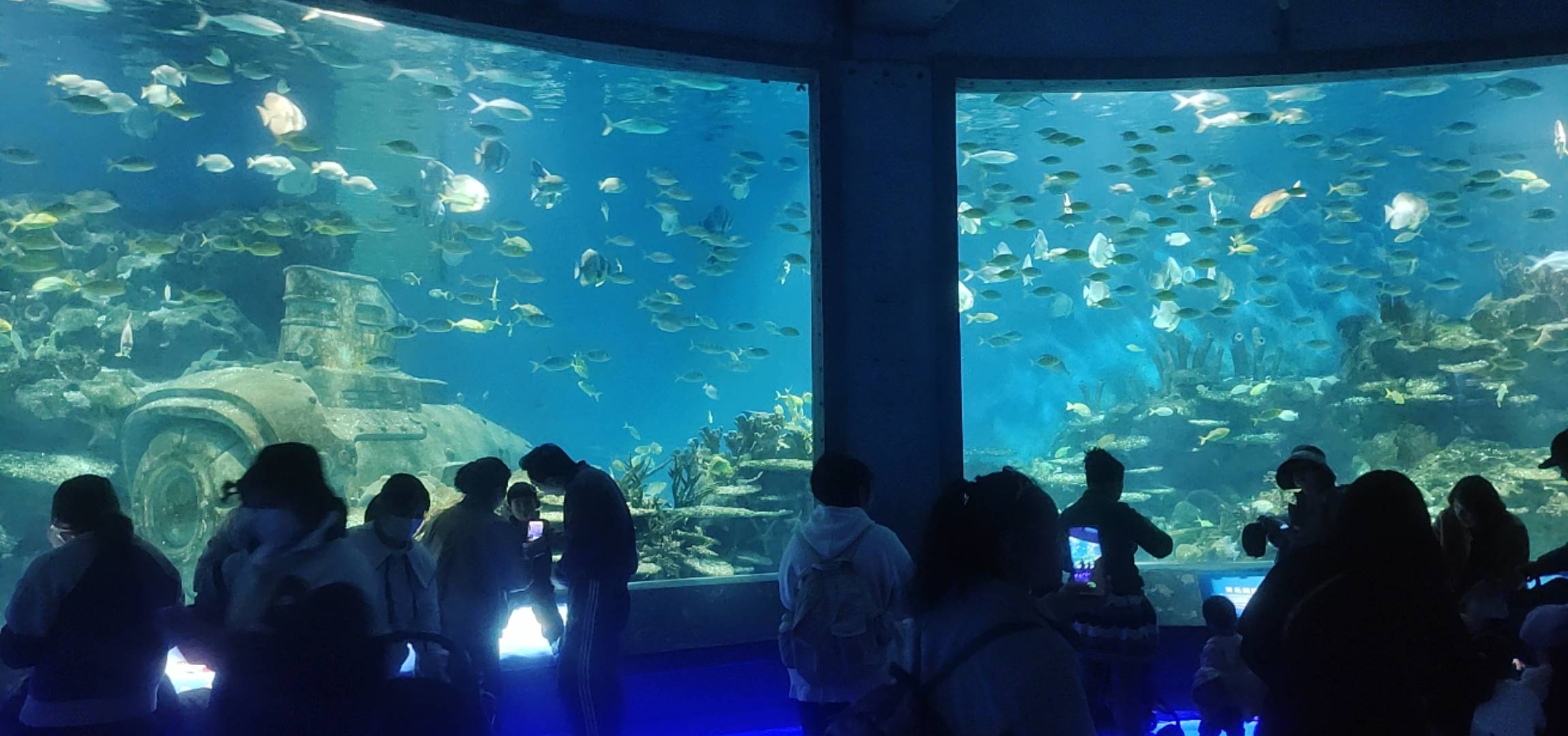 真舒服



32 / 作者:旺旺小仙丶 / 