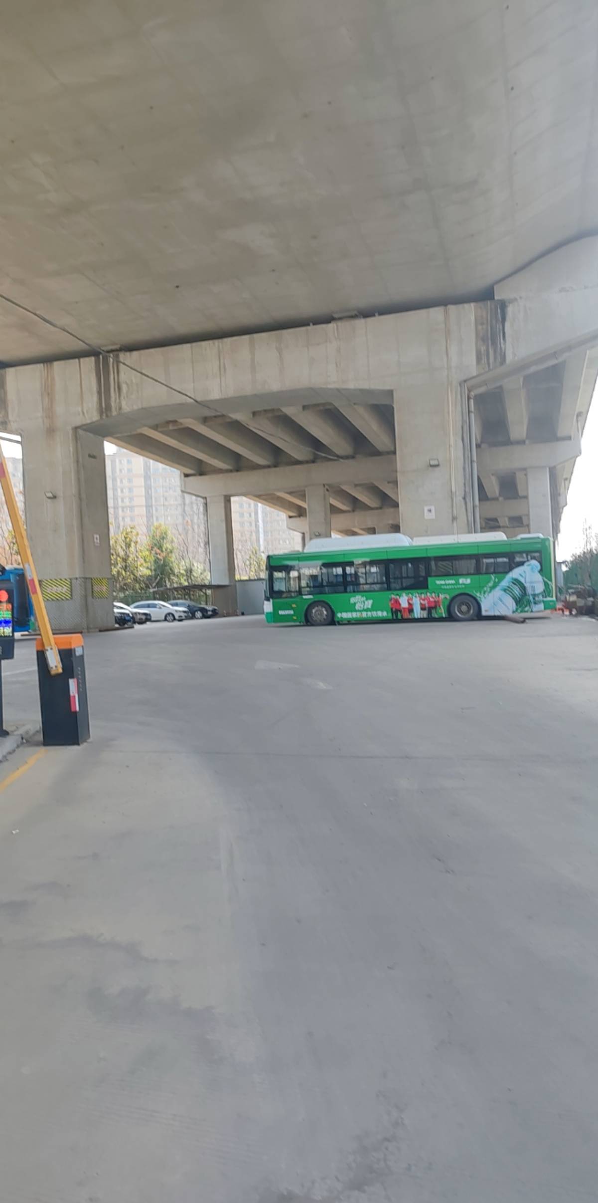 挂壁仔在武汉？有没有武汉老哥带带？


12 / 作者:烟火里的尘埃11 / 