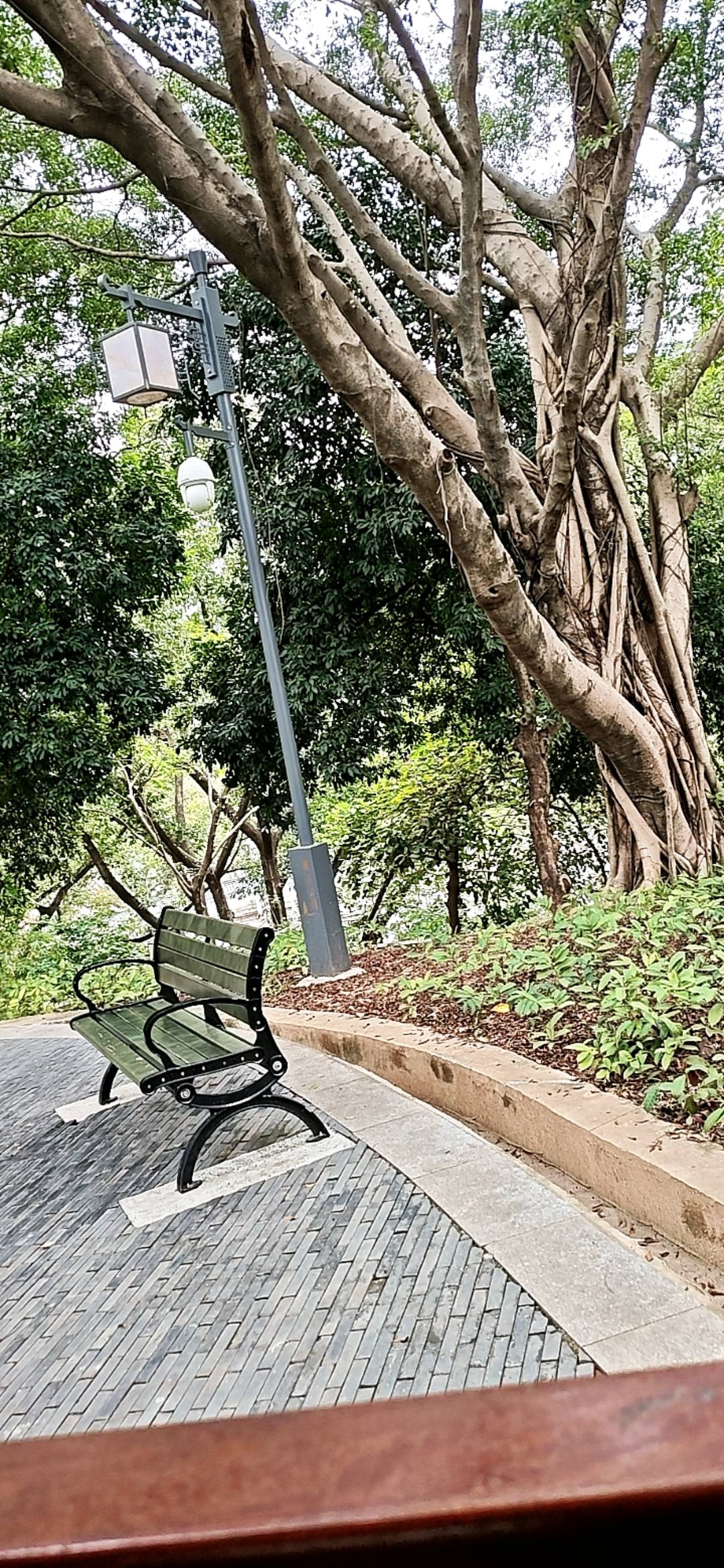 龙华公园今天没有美女直播差评


48 / 作者:梦回大唐做王爷 / 