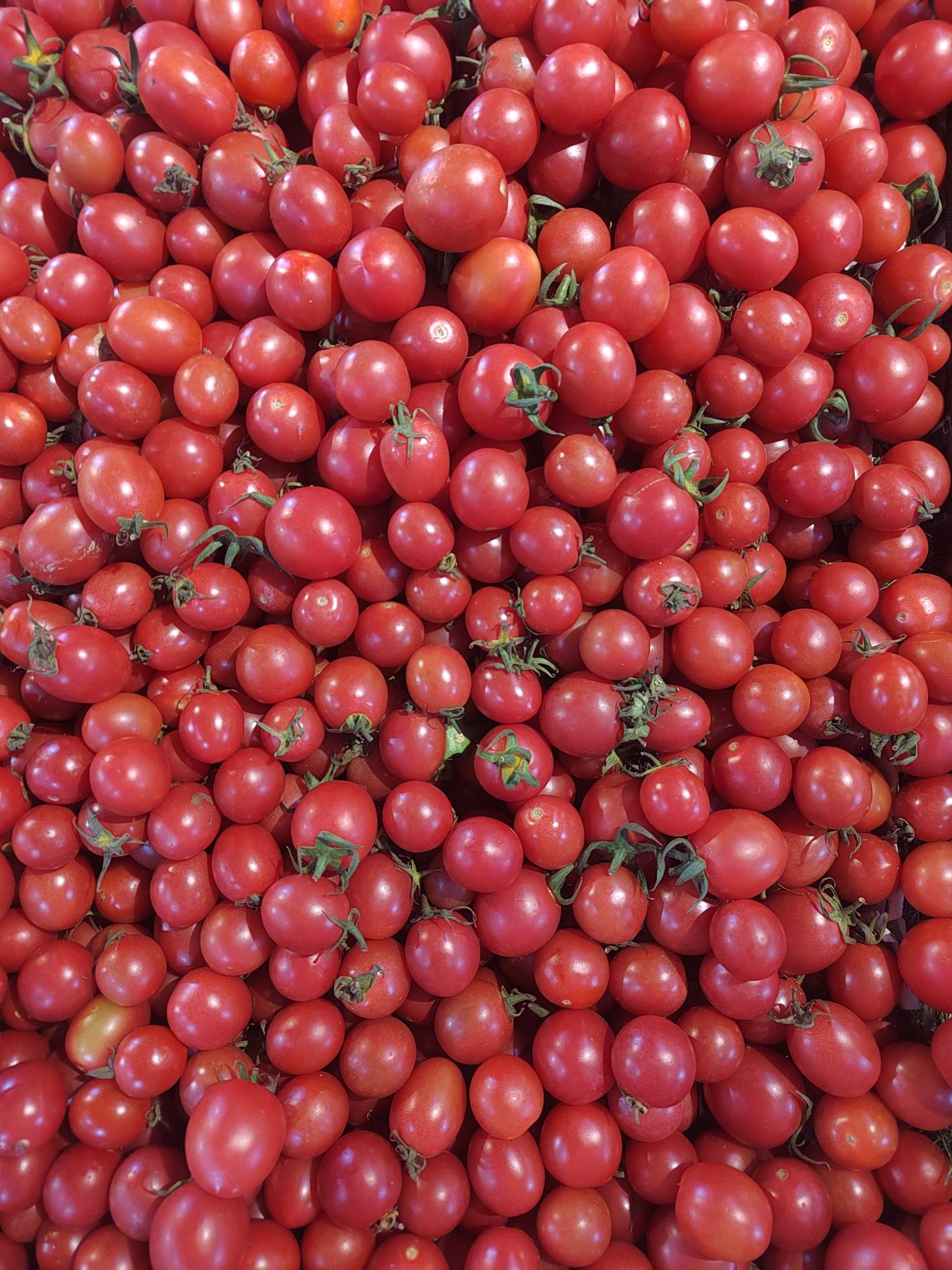 老哥们最喜欢吃什么水果




100 / 作者:祁同伟 / 