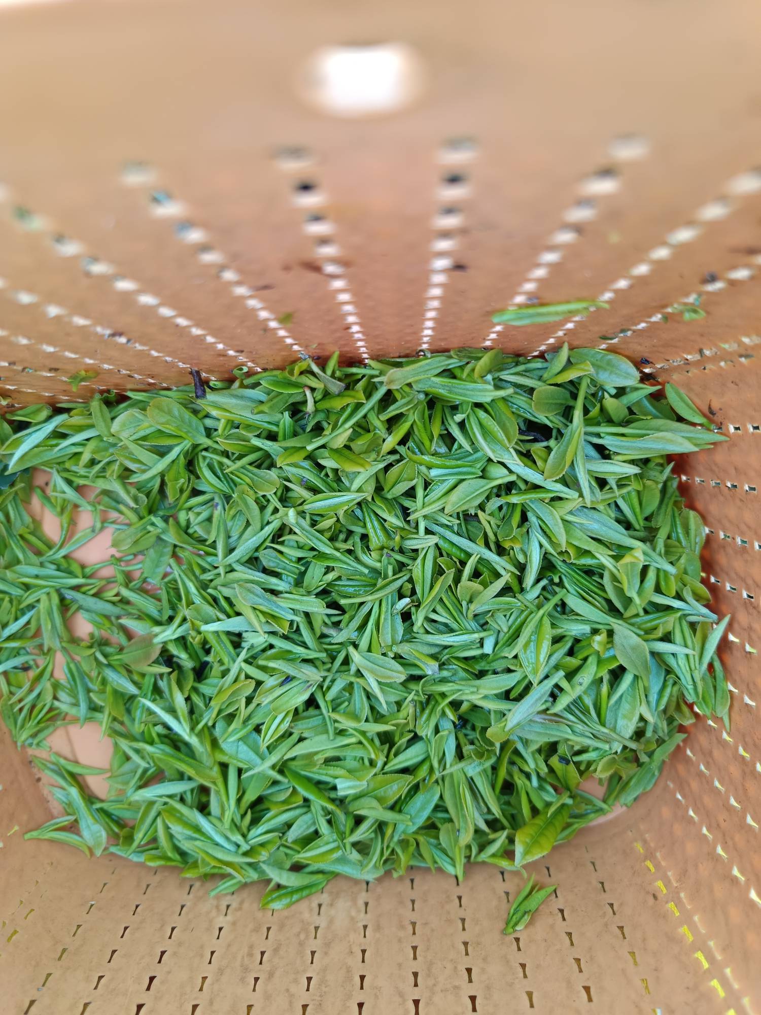 来采茶了老哥们



93 / 作者:浪花的泡沫、 / 