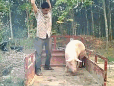 老哥们好困就是睡不着

4 / 作者:汉娜酱 / 