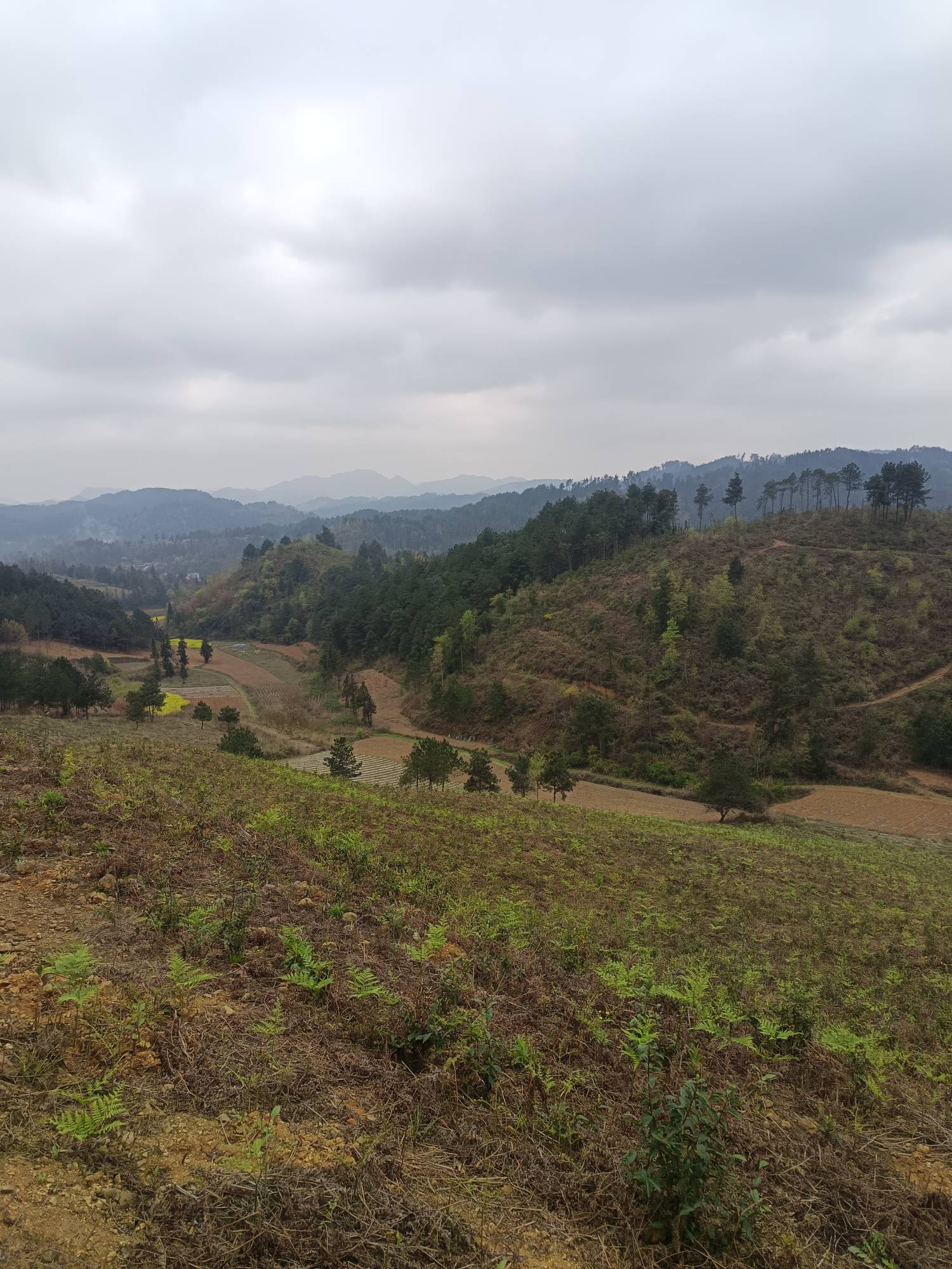今天又是小300的时候



90 / 作者:浪花的泡沫、 / 