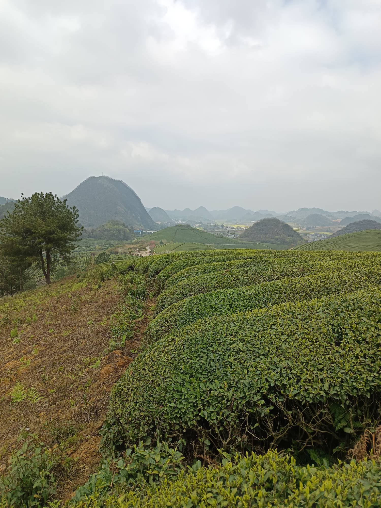 今天又是小300的时候



31 / 作者:浪花的泡沫、 / 