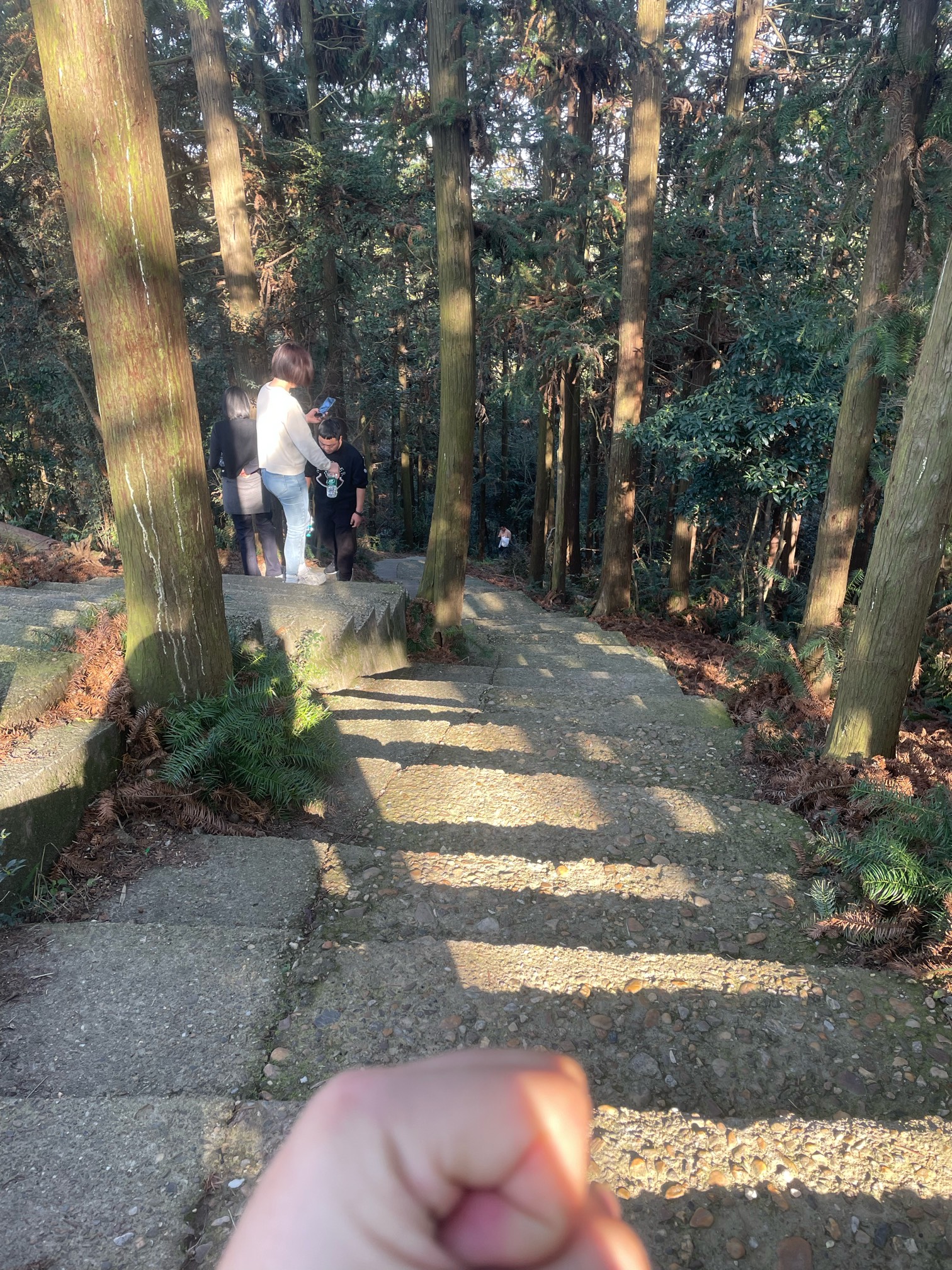 瓜皮山爬上来了，用时一小时

8 / 作者:溜达发财 / 