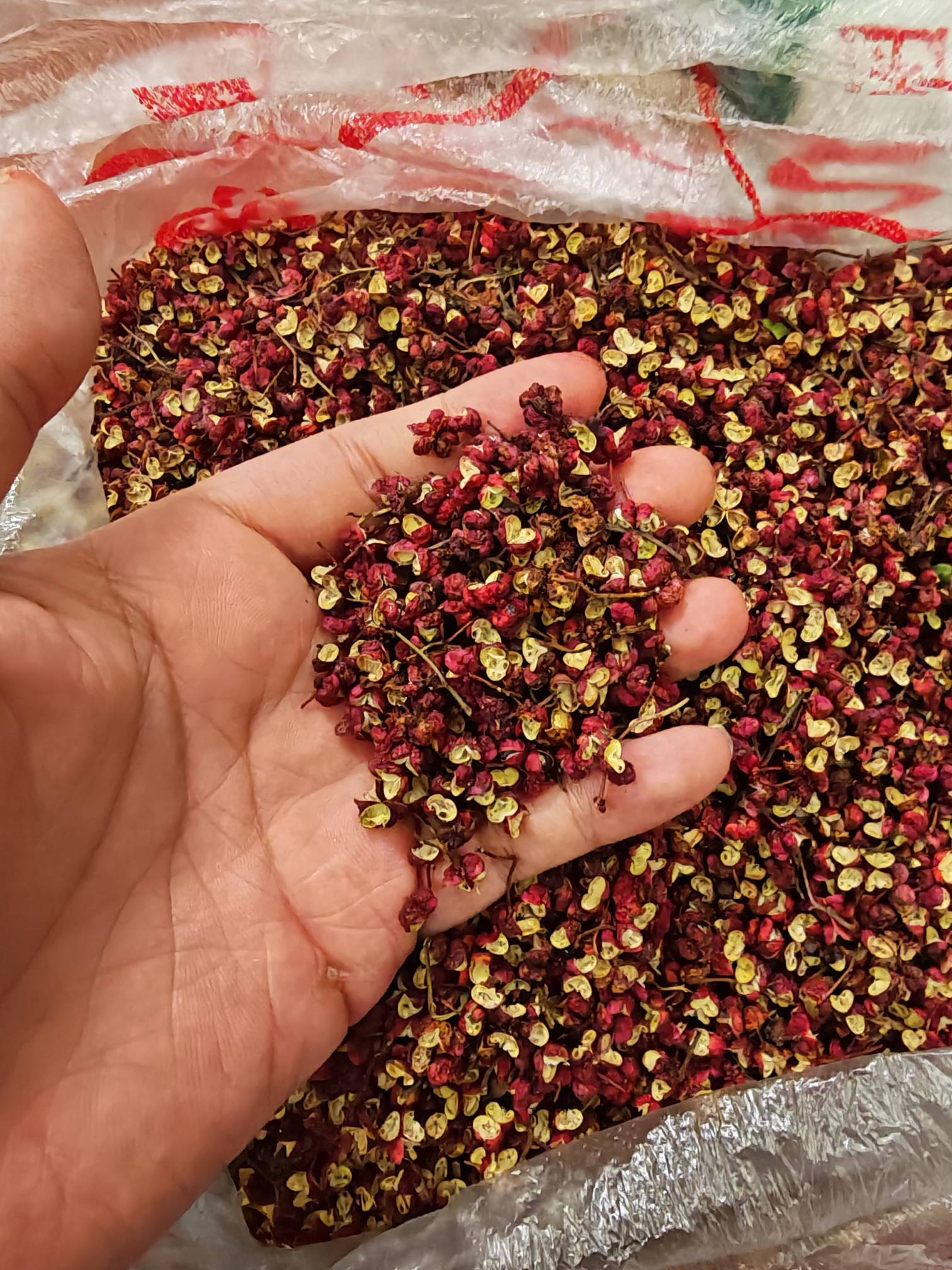 一个甘肃天水朋友寄来的花椒，自己家种的，靓货，一级货

52 / 作者:普宁特邀演员达濠 / 