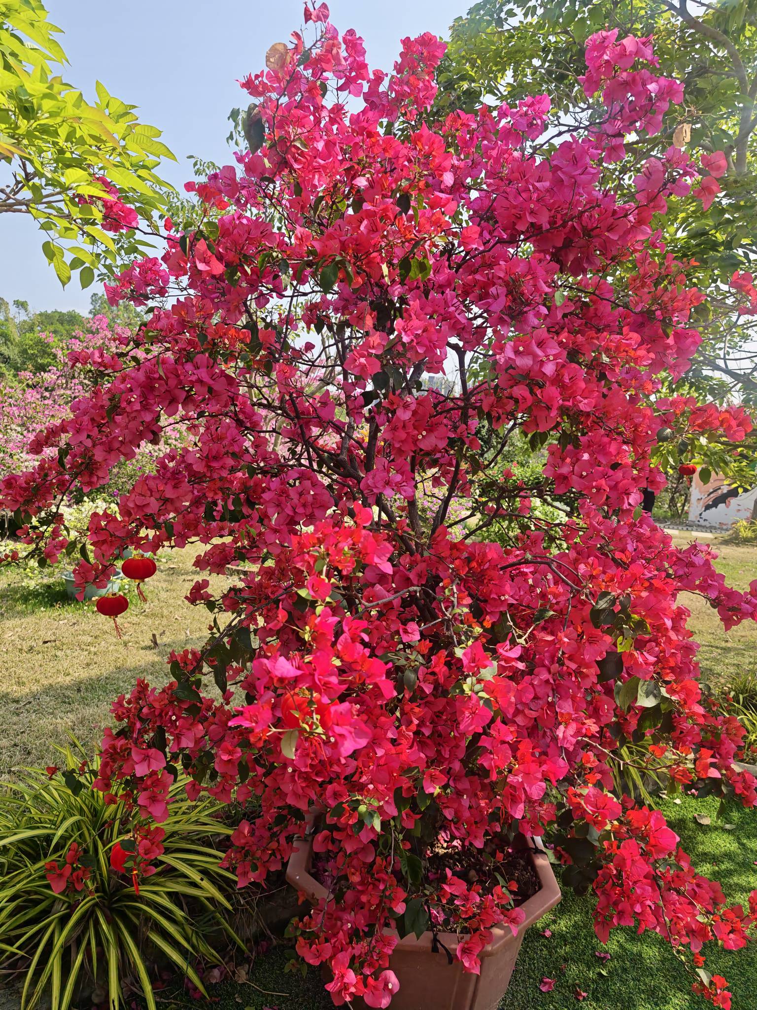 老哥们看下荣耀500pro拍出来效果咋样



23 / 作者:偷后羿的兔子 / 