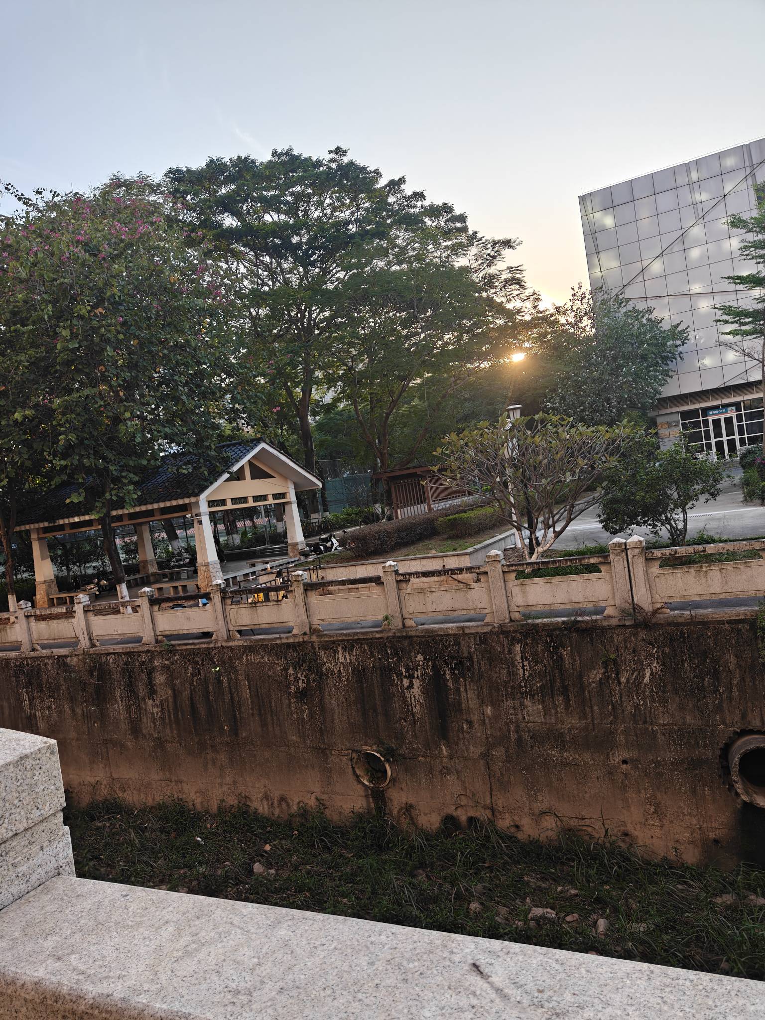 老哥们  这种电梯公寓怎么样  ？价格要500一个月 前面就是公园



25 / 作者:天大地大@ / 