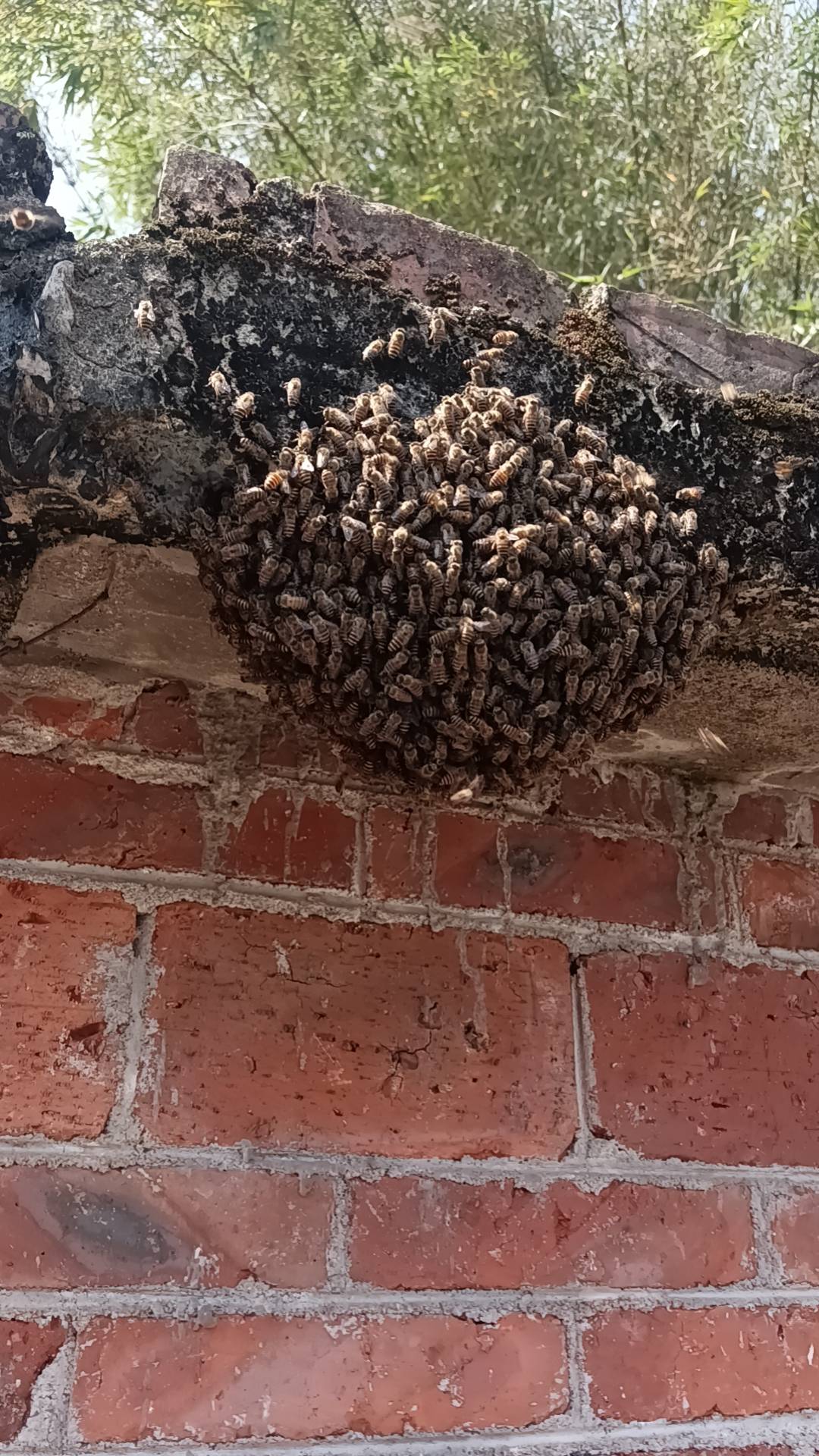 好玩爱玩

7 / 作者:永恒yi / 