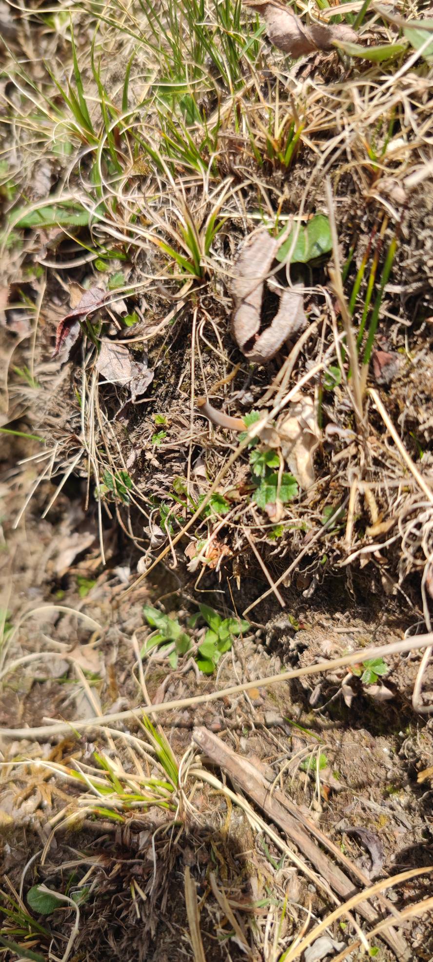 还得坚持一个月，
到时候就可以搞钱了。


47 / 作者:丷二霸丷 / 