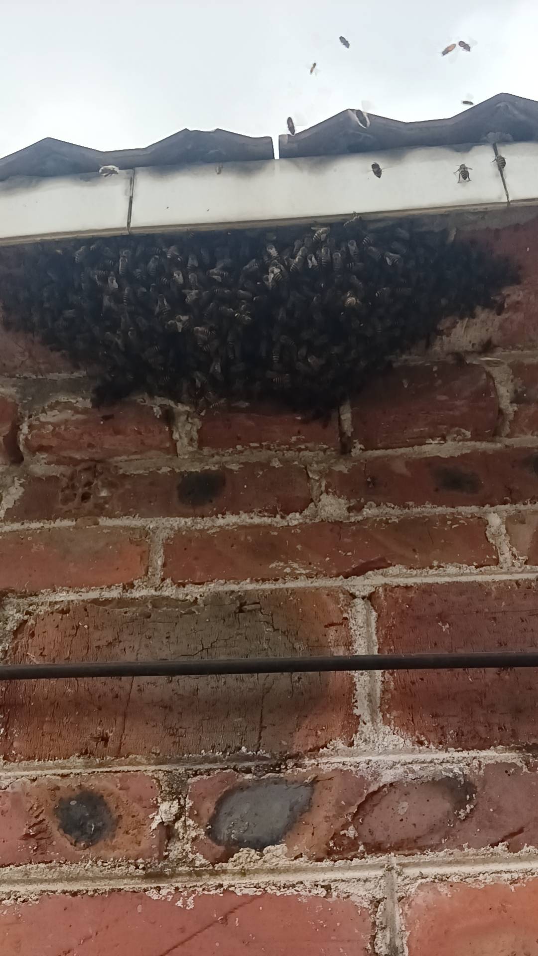 好玩爱玩

24 / 作者:永恒yi / 